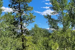 41 Poplar Cir, Silverthorne, CO 80498 - Photo 41