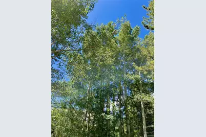 41 Poplar Circle, Silverthorne, CO 80498 - Photo 47