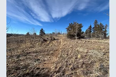 29 Strelets Way, Como, CO 80432 - Photo 19