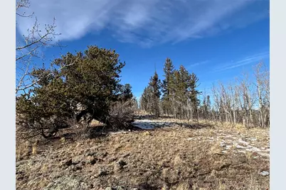 29 Strelets Way, Como, CO 80432 - Photo 3