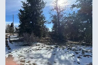 29 Strelets Way, Como, CO 80432 - Photo 11