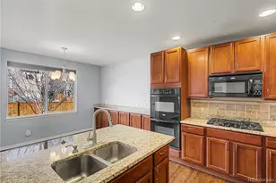 2158 Paint Pony Cir, Castle Rock, CO 80108 - Photo 7