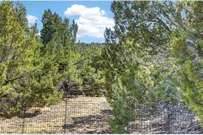 415 Riata Drive, Trinidad, CO 81082 - Photo 49