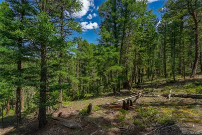 384 Insmont Lane, Florissant, CO 80816 - Photo 5