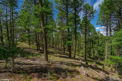 384 Insmont Lane, Florissant, CO 80816 - Photo 15