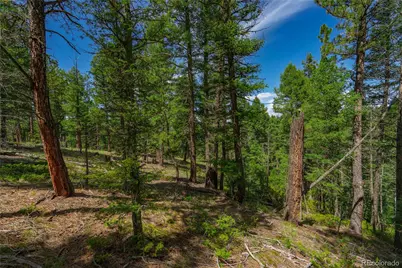 384 Insmont Lane, Florissant, CO 80816 - Photo 7