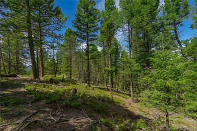 384 Insmont Lane, Florissant, CO 80816 - Photo 3
