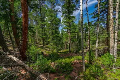 384 Insmont Lane, Florissant, CO 80816 - Photo 13