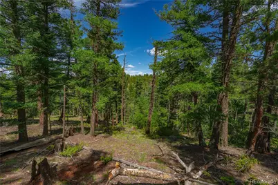 384 Insmont Lane, Florissant, CO 80816 - Photo 1