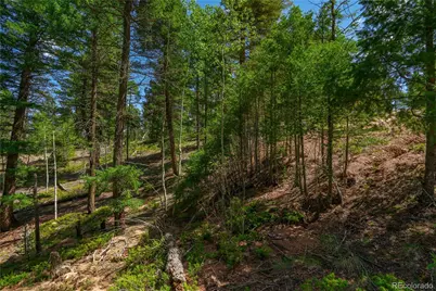 384 Insmont Lane, Florissant, CO 80816 - Photo 9
