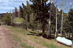 19653 Silver Ranch Rd, Conifer, CO 80433 - Photo 39