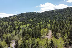 19653 Silver Ranch Rd, Conifer, CO 80433 - Photo 33