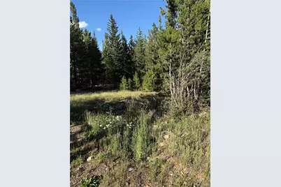 343 Aspen Road, Idaho Springs, CO 80452 - Photo 3
