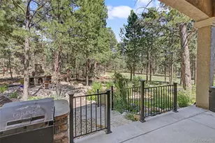 15545 Pole Pine Point, Colorado Springs, CO 80908 - Photo 41