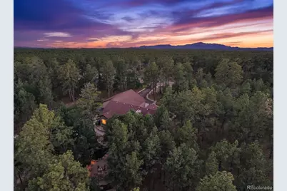 15545 Pole Pine Point, Colorado Springs, CO 80908 - Photo 45