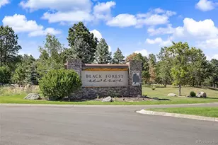 15545 Pole Pine Point, Colorado Springs, CO 80908 - Photo 43