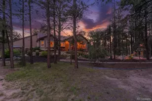 15545 Pole Pine Point, Colorado Springs, CO 80908 - Photo 9