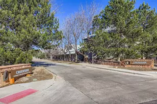 12652 S Silver Creek Ct, Parker, CO 80134 - Photo 35