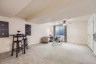 12652 S Silver Creek Ct, Parker, CO 80134 - Photo 19