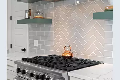 435 N Washington Street, Denver, CO 80203 - Photo 11