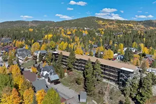 301 N French St, Breckenridge, CO 80424 - Photo 37