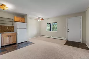 301 N French St, Breckenridge, CO 80424 - Photo 9