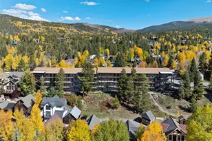 301 N French St, Breckenridge, CO 80424 - Photo 39