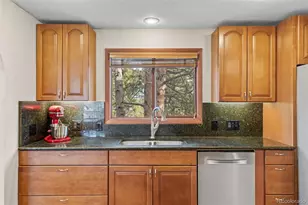 1995 Mockingbird Trail, Bailey, CO 80421 - Photo 11