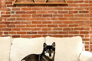 3249 W Fairview Pl, Denver, CO 80211 - Photo 3