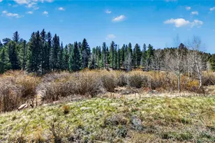 1328 Clark Rd, Bailey, CO 80421 - Photo 35