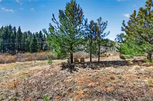 1328 Clark Rd, Bailey, CO 80421 - Photo 33
