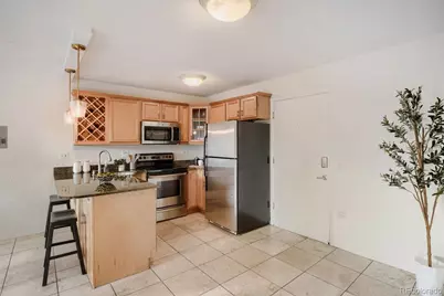 909 N Logan Street #9E, Denver, CO 80203 - Photo 3
