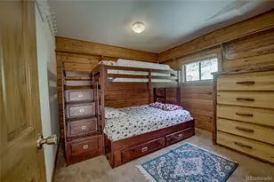 420 Nuthatch Dr, Alma, CO 80420 - Photo 15