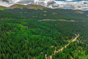 420 Nuthatch Dr, Alma, CO 80420 - Photo 41
