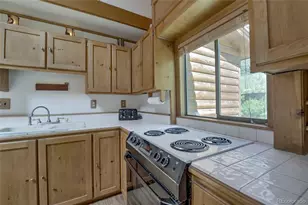 420 Nuthatch Dr, Alma, CO 80420 - Photo 13
