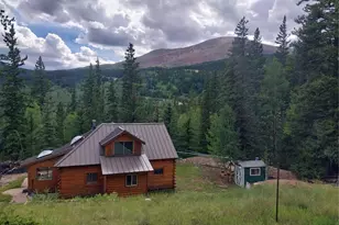 420 Nuthatch Dr, Alma, CO 80420 - Photo 3