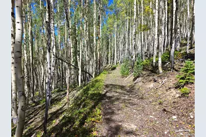 840 Forest Service Road 890, White Pine, CO 81248 - Photo 17