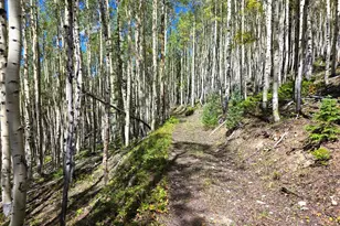 840 Forest Service Rd 890, White Pine, CO 81248 - Photo 17