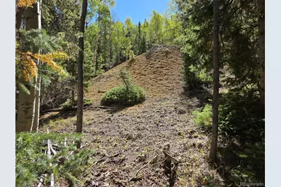 840 Forest Service Road 890, White Pine, CO 81248 - Photo 7