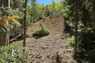 840 Forest Service Rd 890, White Pine, CO 81248 - Photo 7