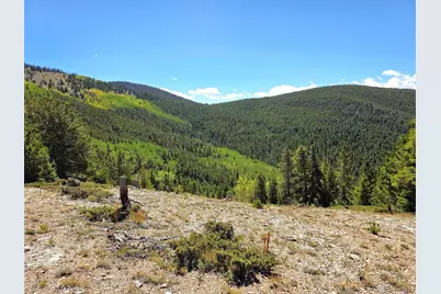 840 Forest Service Road 890, White Pine, CO 81248 - Photo 11