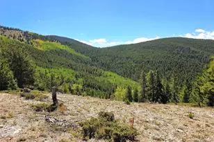 840 Forest Service Rd 890, White Pine, CO 81248 - Photo 11