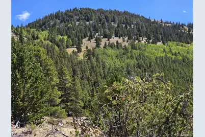 840 Forest Service Road 890, White Pine, CO 81248 - Photo 45