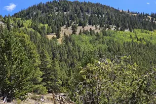 840 Forest Service Rd 890, White Pine, CO 81248 - Photo 45