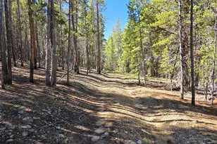 840 Forest Service Rd 890, White Pine, CO 81248 - Photo 5