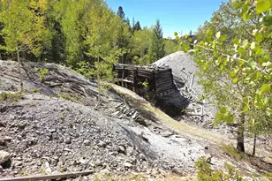 840 Forest Service Rd 890, White Pine, CO 81248 - Photo 25