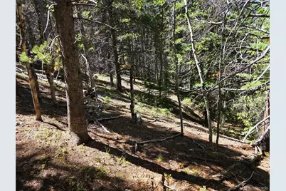 840 Forest Service Road 890, White Pine, CO 81248 - Photo 19