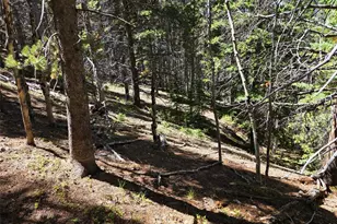 840 Forest Service Rd 890, White Pine, CO 81248 - Photo 19