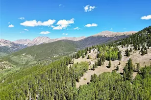 840 Forest Service Rd 890, White Pine, CO 81248 - Photo 39