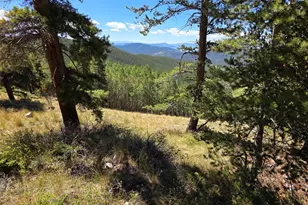 840 Forest Service Rd 890, White Pine, CO 81248 - Photo 13